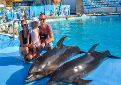 Шоу дельфінів у Хургаді